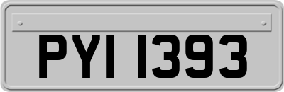 PYI1393