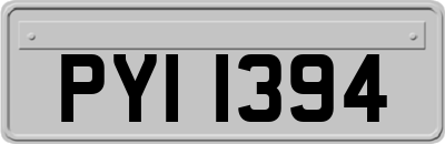 PYI1394