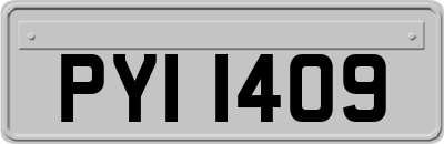 PYI1409