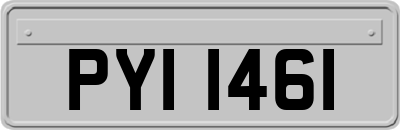 PYI1461