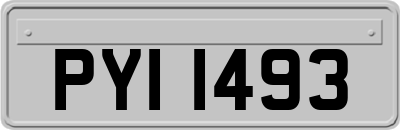 PYI1493