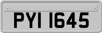 PYI1645