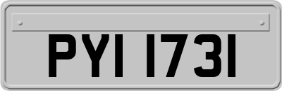 PYI1731