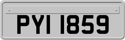 PYI1859