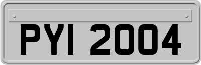 PYI2004