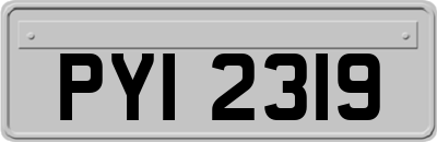 PYI2319