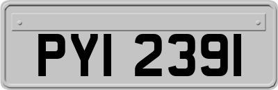 PYI2391