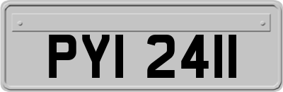 PYI2411