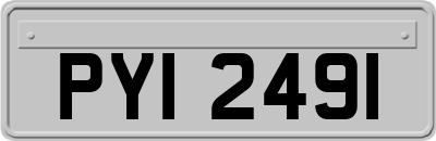 PYI2491