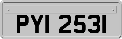 PYI2531