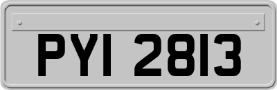 PYI2813