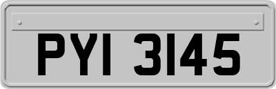 PYI3145