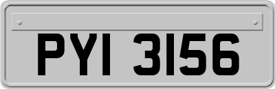 PYI3156