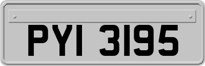 PYI3195