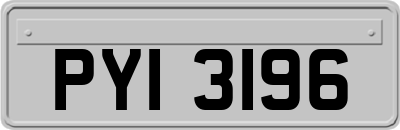 PYI3196