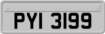 PYI3199