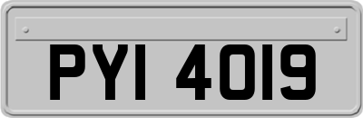 PYI4019