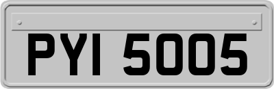 PYI5005