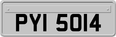 PYI5014