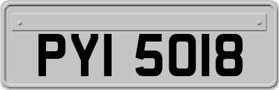 PYI5018