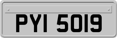 PYI5019