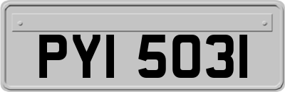 PYI5031