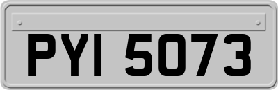 PYI5073