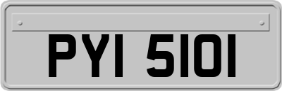 PYI5101