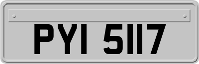 PYI5117