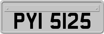 PYI5125