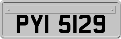 PYI5129