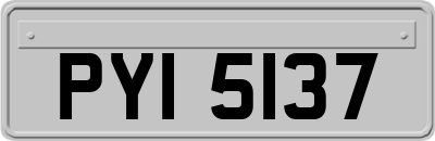 PYI5137