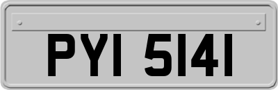 PYI5141