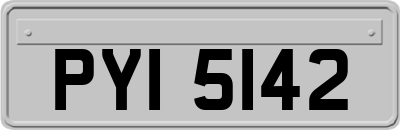 PYI5142