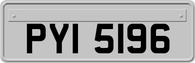 PYI5196