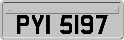 PYI5197