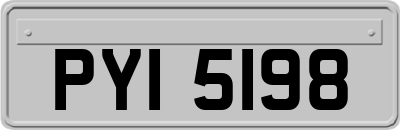 PYI5198