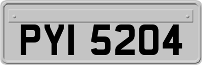 PYI5204