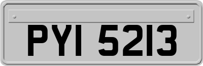 PYI5213