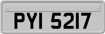 PYI5217