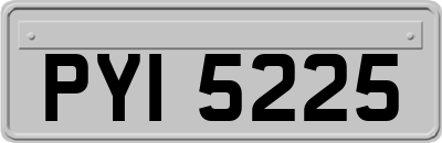 PYI5225