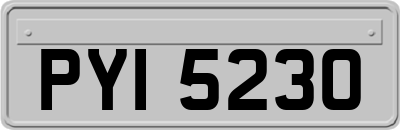 PYI5230