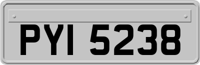 PYI5238