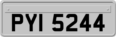 PYI5244