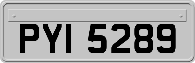 PYI5289