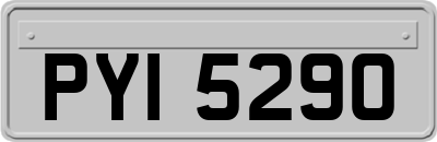 PYI5290