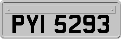 PYI5293