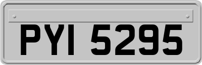 PYI5295