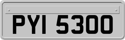 PYI5300