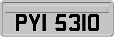 PYI5310